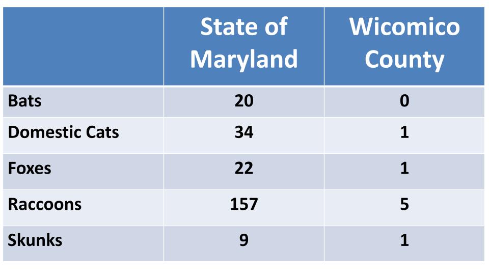 Current Rabies Cases