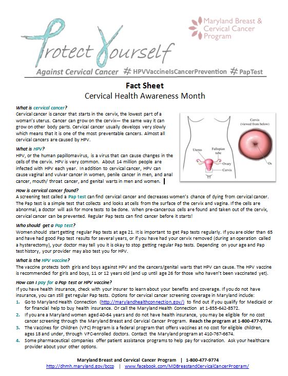 Cervical Cancer Awareness Sheet - click for more info