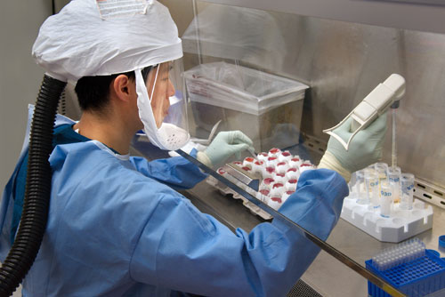 H7N9 lab research, Scientist, lab testing